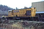 Chehalis Western H10-44 CWWR #492